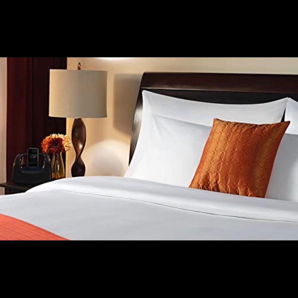 Sober Westex king flat sheet NWOT